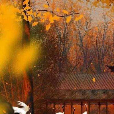 北京北京通州与河北廊坊，加快脚步共建潮白河国家森林公园